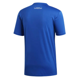 CAMISETA DE JUEGO REAL OVIEDO CULTURE FANS